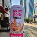 스텔라떡볶이 경기양주옥정점