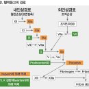 리바록사반 vs 다비가트란 심혈관계 약물 이미지