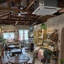 오마이살롱(oh my salon)