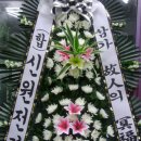 새통영병원장례식장