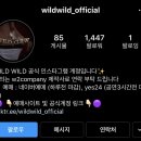 와일드 와일드 현장예매한 썰 푼다(미스터쇼 와일드와일드 비교 후기)