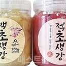 적초 네이버블로그
