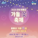 장성군민회관 | 2025 장성 황룡강 가을꽃축제 완벽 가이드