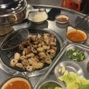 대구 막창 맛집 걸리버막창 동성로점 웨이팅 내돈내산 후기