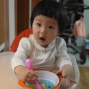 수리야 놀자 이미지