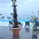 비고리조트 11 이미지