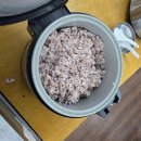 영광한식뷔페 | 대전 초가성비 " 영광맛집 " 5천원 한식뷔페!