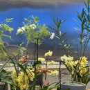 여석경로당 | [우주정원]2024년 가드닝클래스 창업반 온라인 스토어 창업 가드닝 식물가게 서울 종로 플랜테리어 수업