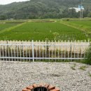 소유 캠핑 스테이 이미지