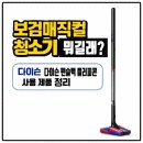 플러피 스튜디오 | 보검매직컬 청소기 뭐길래? 다이슨 펜슬백 플러피콘 사용 제품 정리