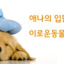 애나동물병원 이미지