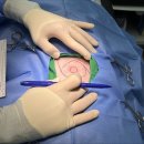 페이지동물병원 이미지