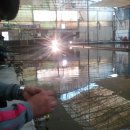 작은연못낚시터 이미지