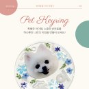 아트 클레이(6세 이상) 이미지