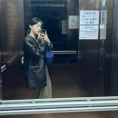 4월은 날씨가 좋으니까 [ 대전여행 성심당, 태평소국밥, 한밭수목원, 대청호, 진로집, 애견카페 ]
