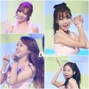 조련 카카오 검색결과