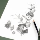 연필그림중급 이미지