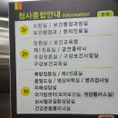 광복회 부산광역시 수영구지회 | [임신일기] 기장 주민 아내 남편 모두 백일해 맞은 후기