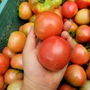 (주)풀무리 이미지