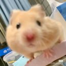공주 pc방 | 공주라이팅