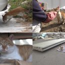 한다리농장 이미지