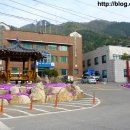 내면 다목적회관 앞 이미지