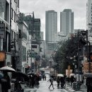 혼자서 떠나는 즉흥 부산 여행