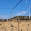 옥산면 보건지소 이미지