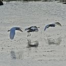 어촌민속박물관 이미지