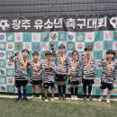 본촌초등학교 이미지