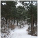 덕암농원 | 포천 주금산(13. 1. 19)