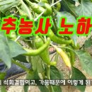 흥농농장 이미지