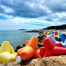 명사십리길 이미지