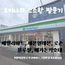 오키나와 여행 필수 코스! 블루씰 아이스크림, 편의점 투어, 메가 돈키호테 후기