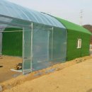 지만농장 이미지