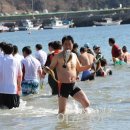 거제도국제펭귄수영축제 이미지