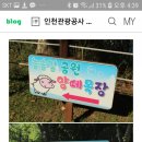 유승목장 이미지