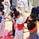 용인대멘토태권도 이미지