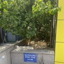 짐 인 더 하우스(Gym in the house) 이미지