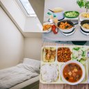 정수민박 | 체코 프라하 한인민박 여자혼자 여행 도브리 숙소 한식 조식
