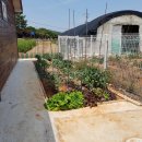 가내초교 인근 이미지