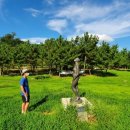 호수천연축구장 이미지