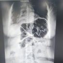 임채홍PT전문센터 이미지