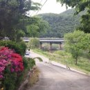 내성천펜션 이미지