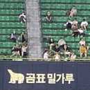 백곰유통 이미지
