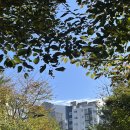 제일철물 | 10월 온정철물 미사집수리 모음