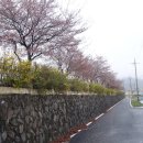 부산면보건지소 이미지