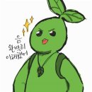 태닝아일랜드 이미지