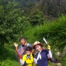 다래산장 이미지