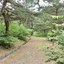 태학산자연휴양림 이미지